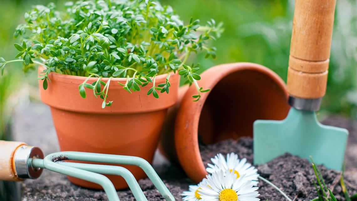 Dise&ntilde;o de jardines de primavera: convierte tu espacio exterior en un para&iacute;so de flores