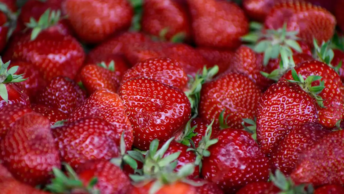 Fresas en casa: c&oacute;mo cuidar tus plantas en verano para que sigan dando fruto