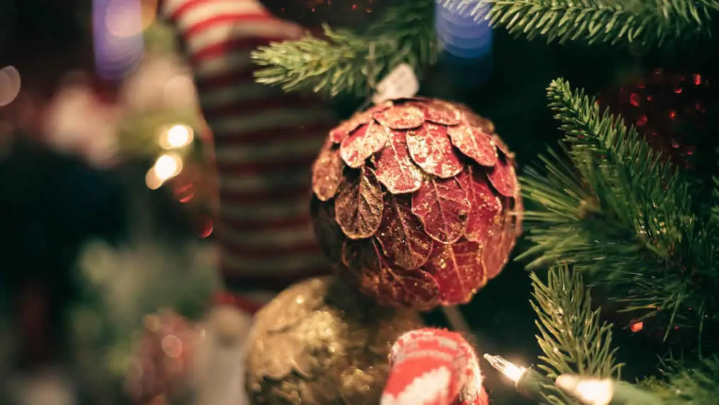 &iexcl;Felices Fiestas desde Viveros El Carrizal!